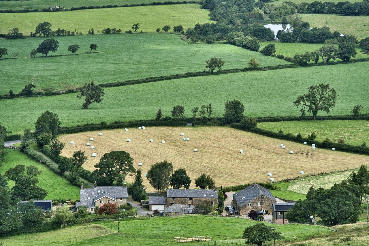 Smart Farming: The Key to Balancing Biodiversity and Agriculture